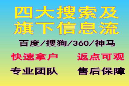 专业竞价SEM托管成功案例解析